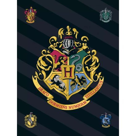 Harry Potter csíkos Címeres polár takaró
